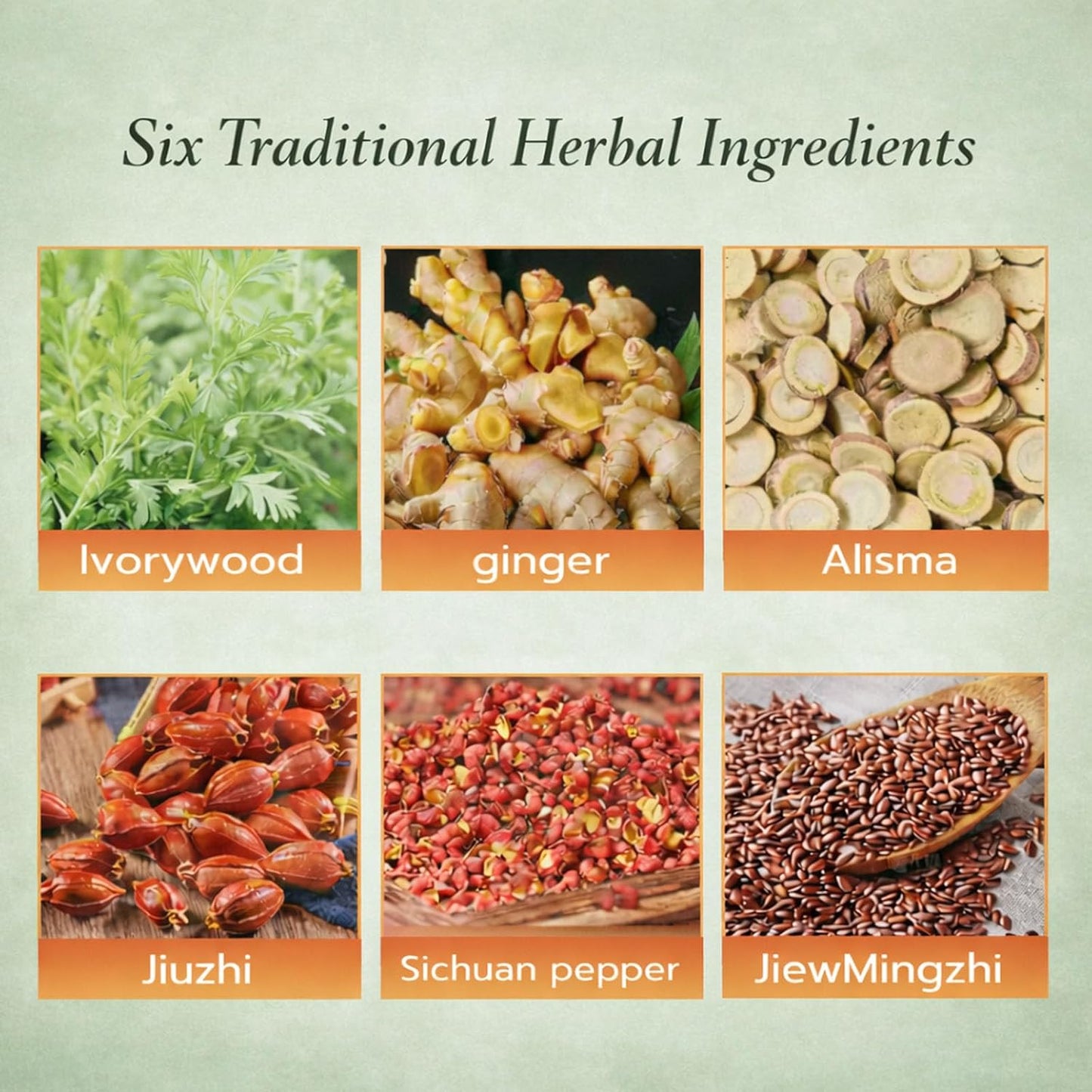 🔥Herbal Balance Patch — Japanese Kampo Formula