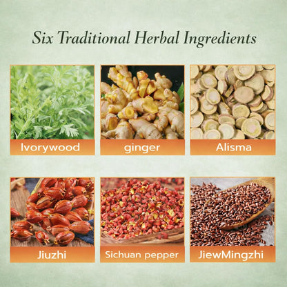 🔥Herbal Balance Patch — Japanese Kampo Formula